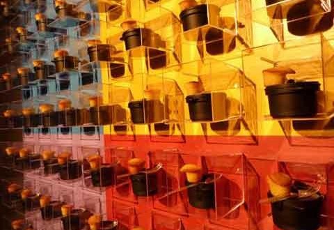 Ideas fantasticas en decoración de eventos… ¿Quién dijo imposible?