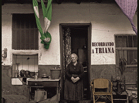 El mítico grupo Triana, son resucitados por la escena independiente nacional, en forma de homenaje y conciertos en directo.